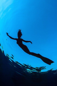 Mermaid Silhouette by Paul Colley 